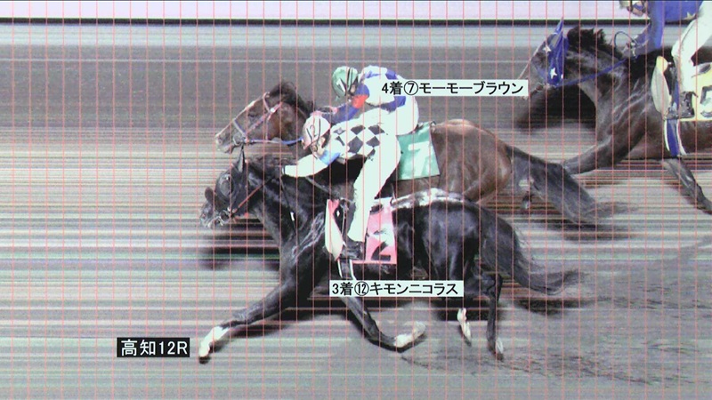 判定写真