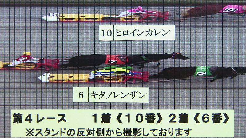 判定写真