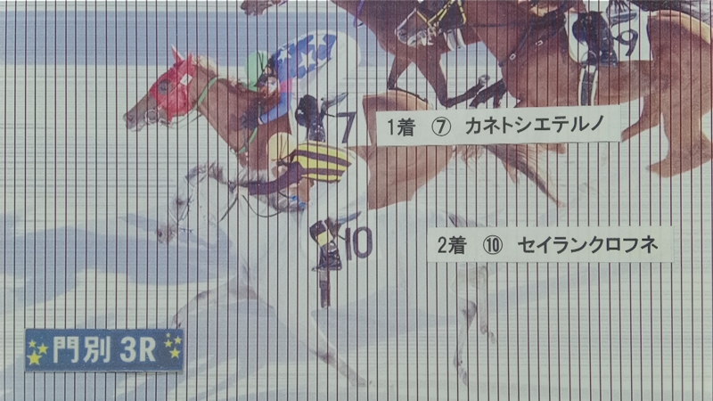 判定写真
