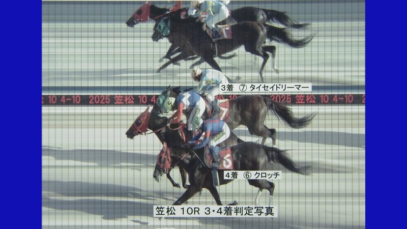 判定写真