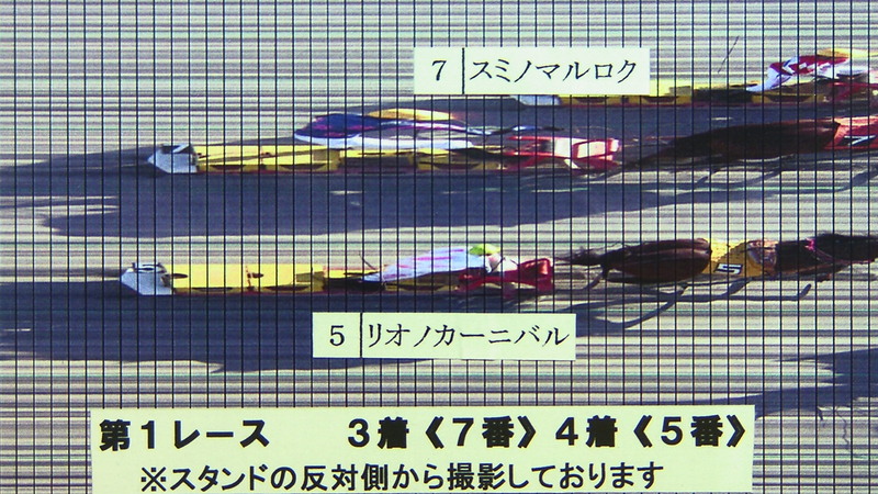 判定写真