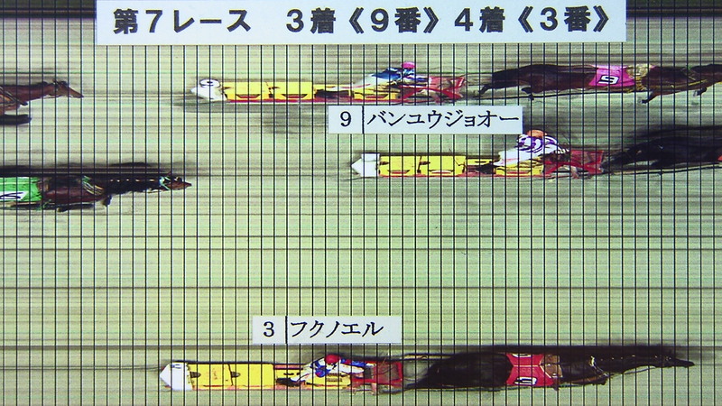 判定写真