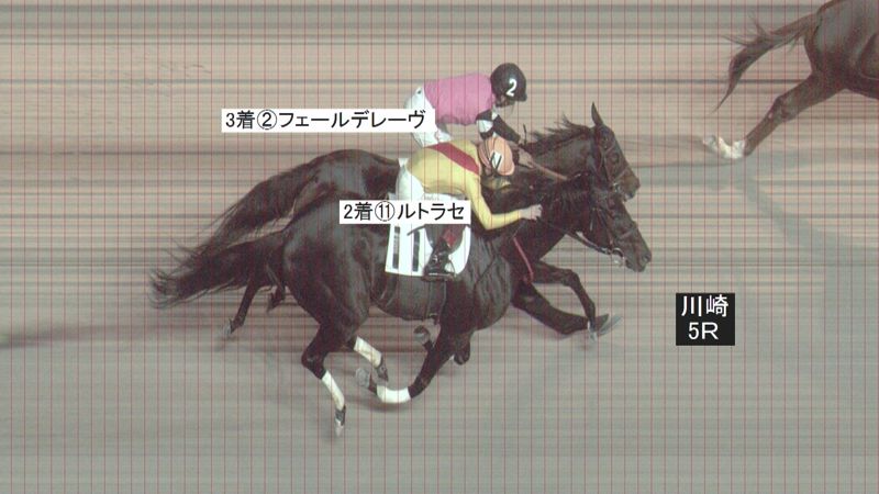 判定写真