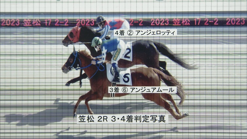 判定写真