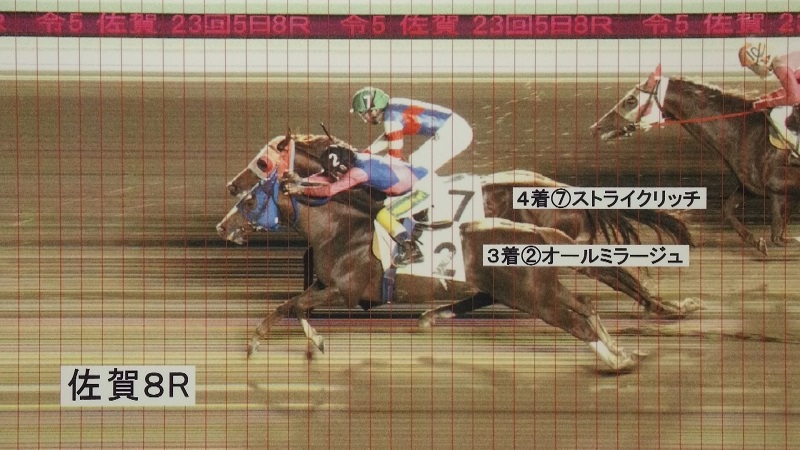 判定写真