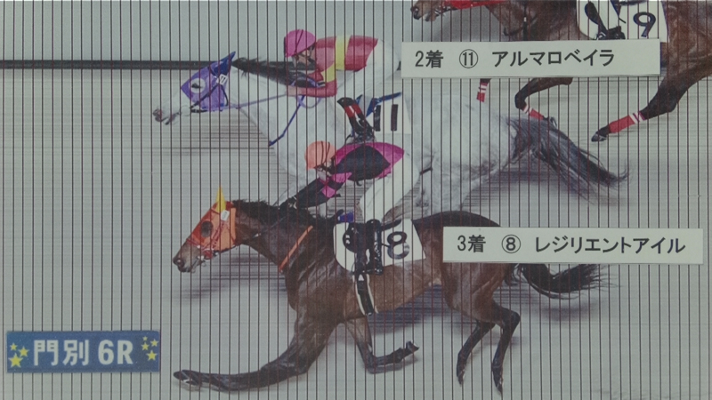 判定写真