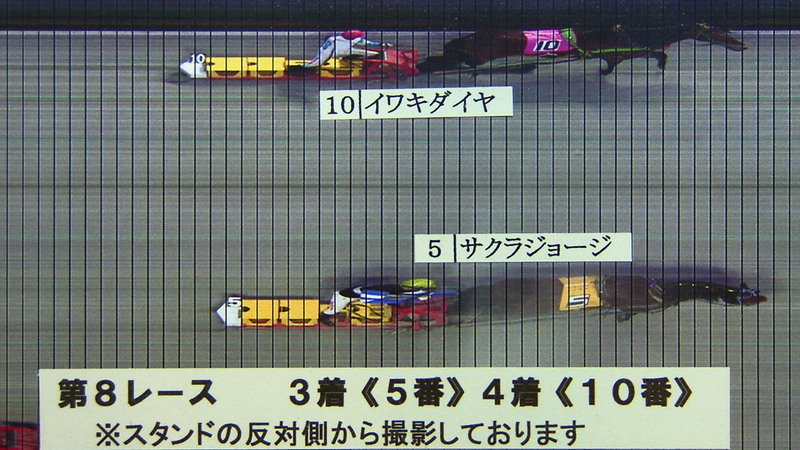 判定写真