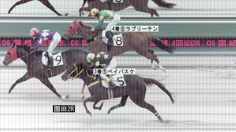 判定写真