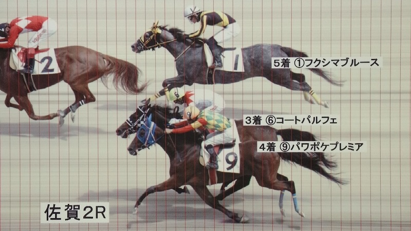 判定写真