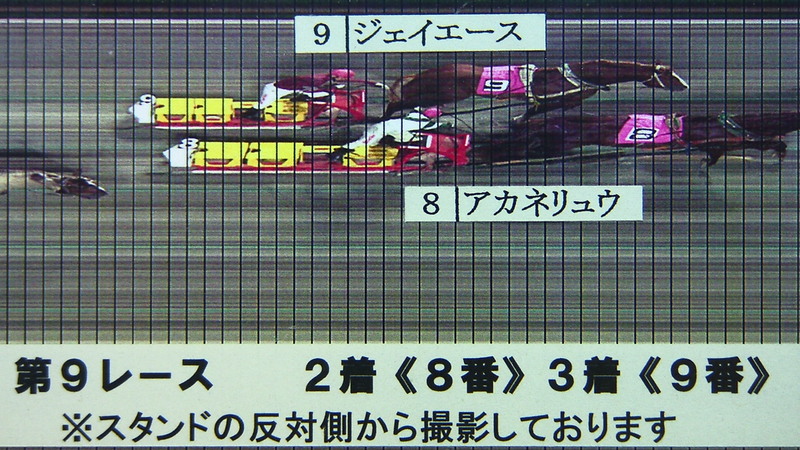 判定写真