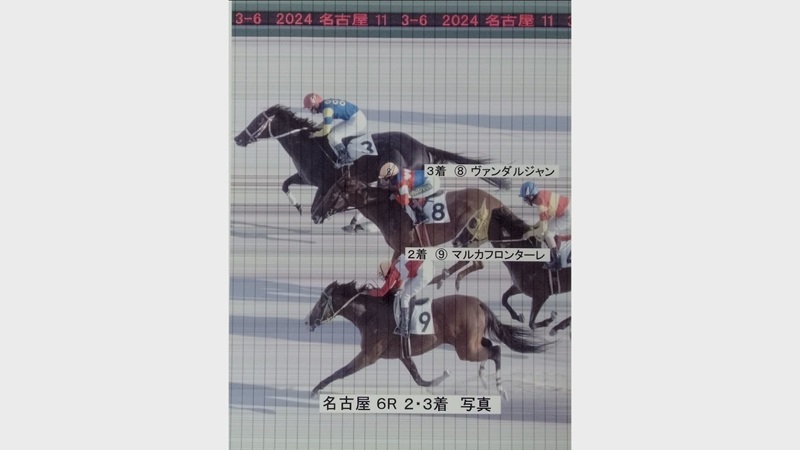 判定写真