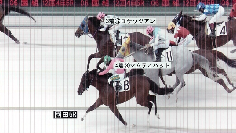 判定写真