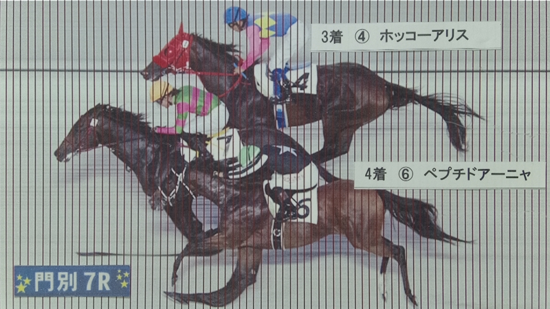 判定写真