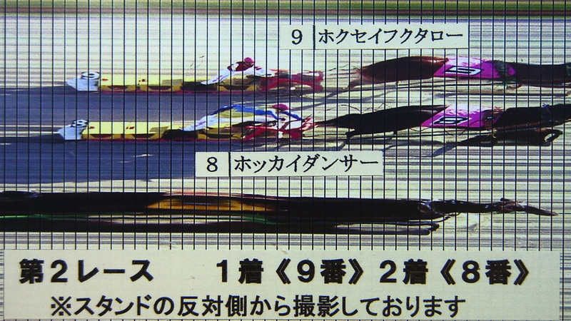 判定写真