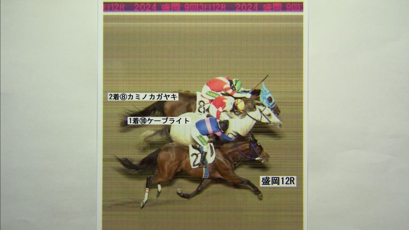 判定写真