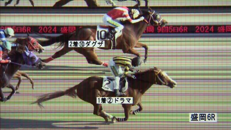 判定写真