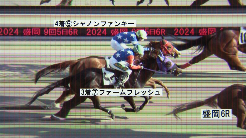 判定写真