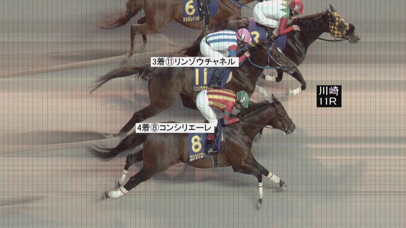判定写真