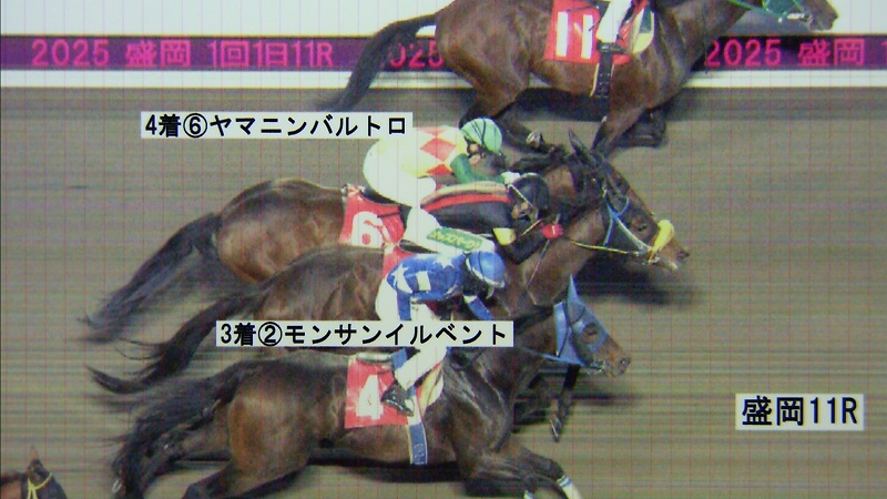 判定写真