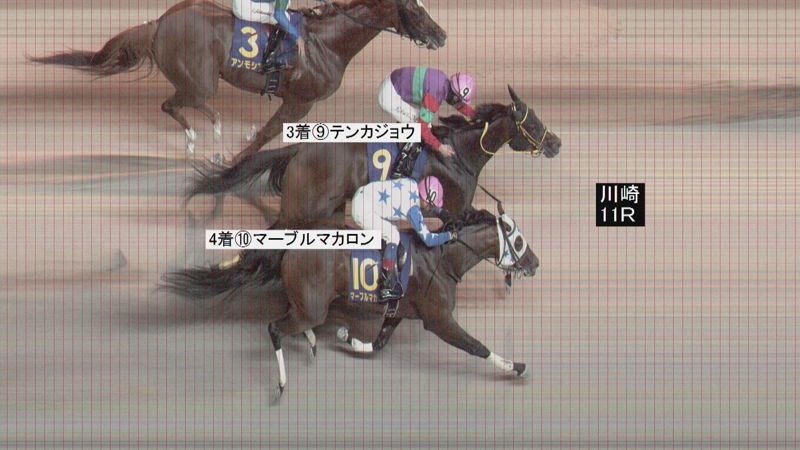 判定写真