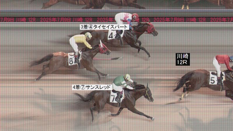 判定写真