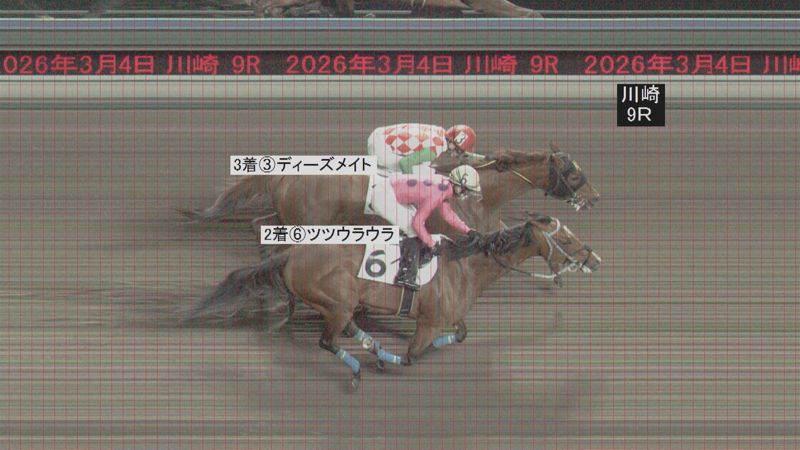 判定写真