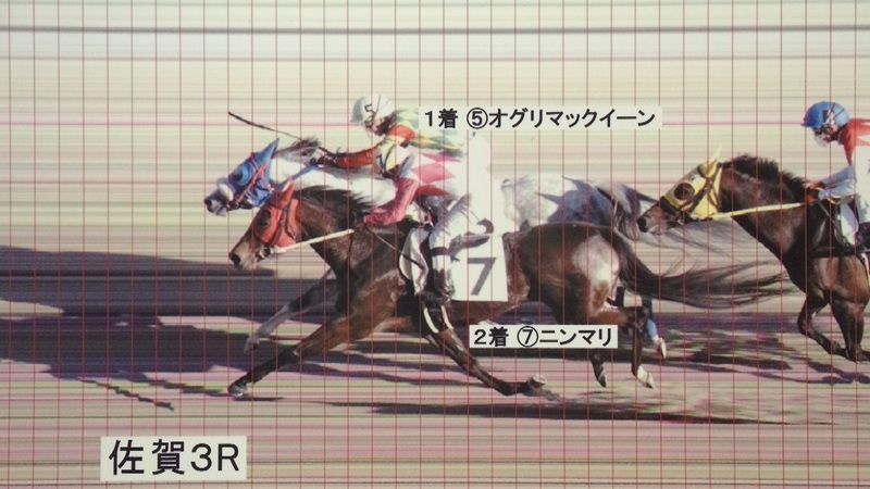 判定写真