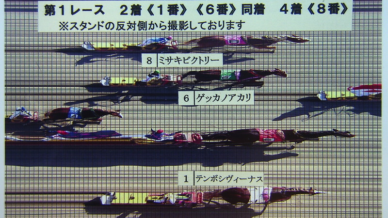 判定写真