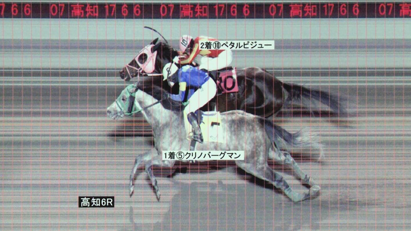判定写真