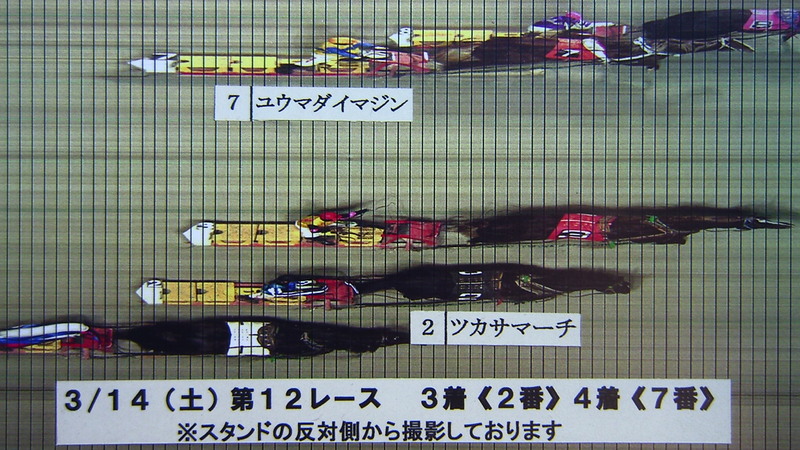 判定写真