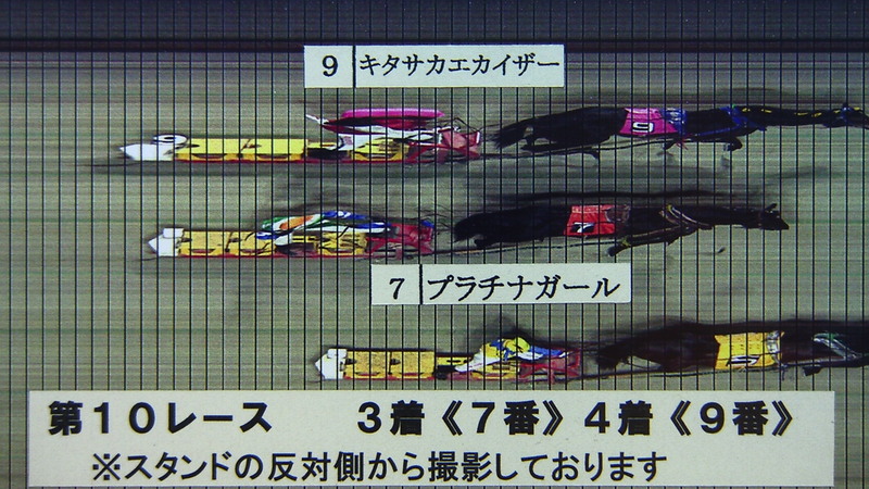 判定写真
