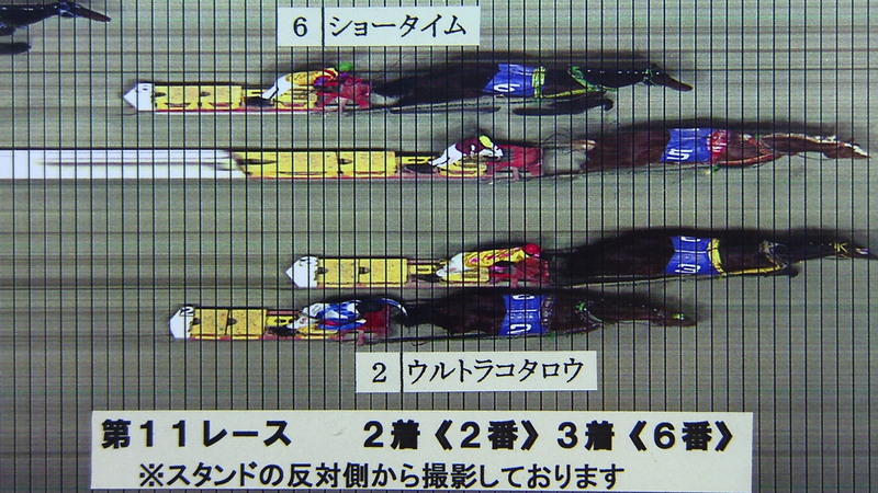 判定写真