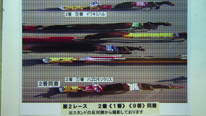 判定写真