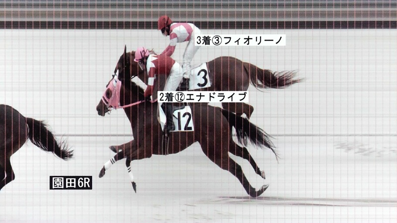 判定写真