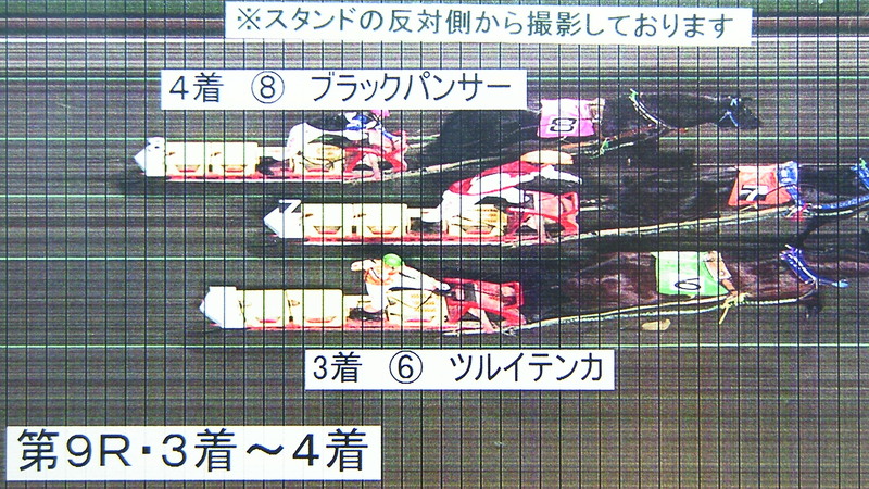 判定写真