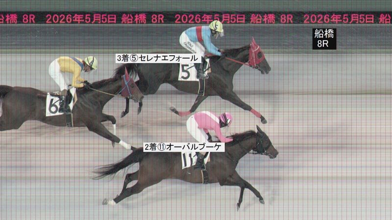 判定写真