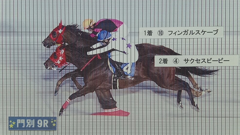 判定写真