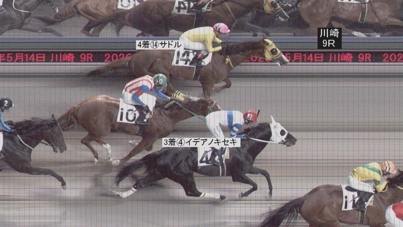 判定写真