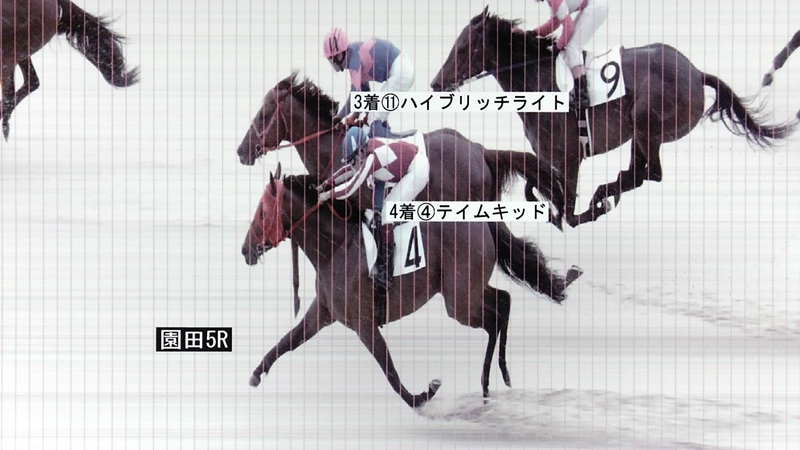 判定写真