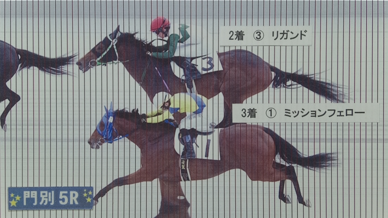 判定写真