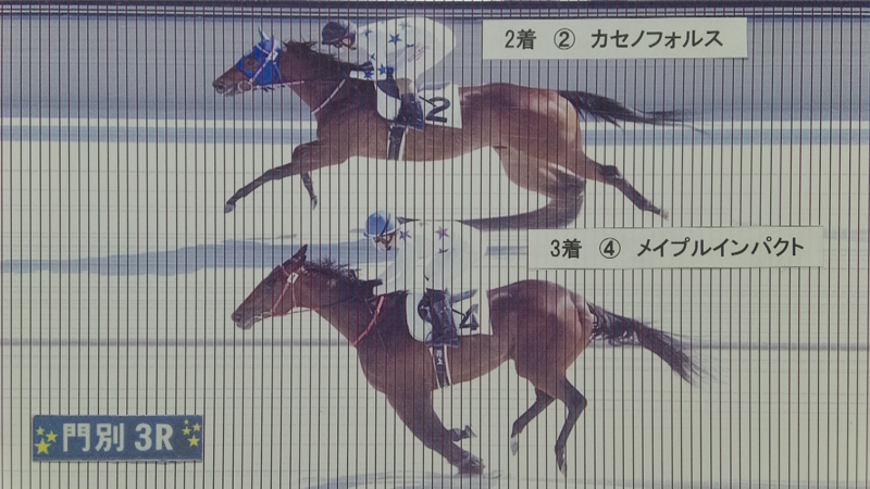 判定写真